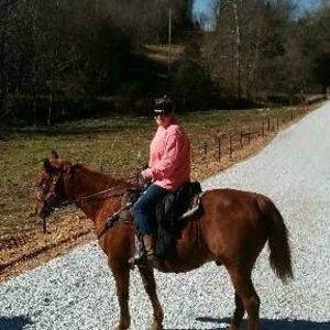 Meet your Posher, Daniel l